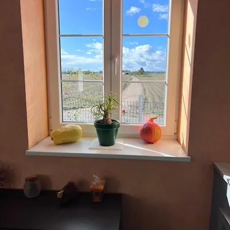 Maison Avec Piscine * Hoerdt