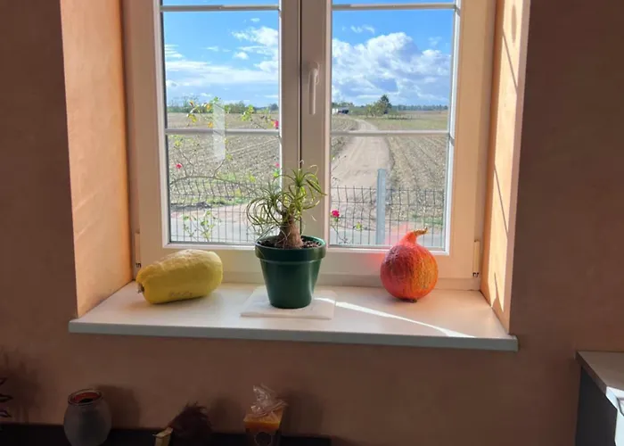 Maison Avec Piscine * Hoerdt